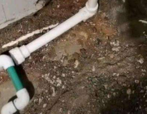 定州卫生间测漏水服务电话