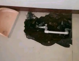 定州卫生间测漏水多少钱